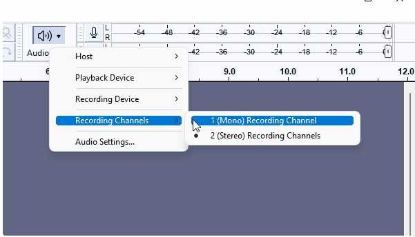 Audacity Audio Setup